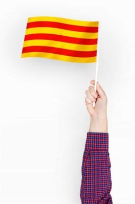 Aprender C1 de catalán online